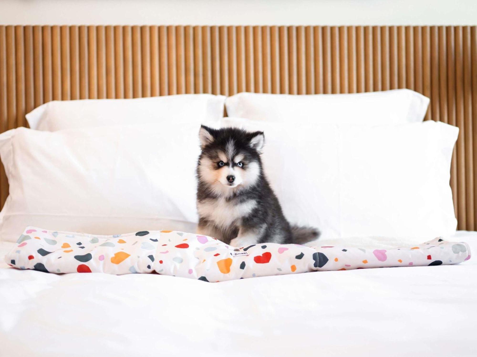 Hotel Mama Shelter Prag